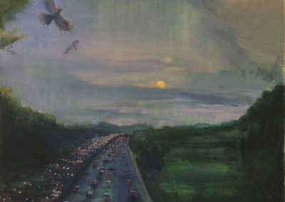 Highway Birds