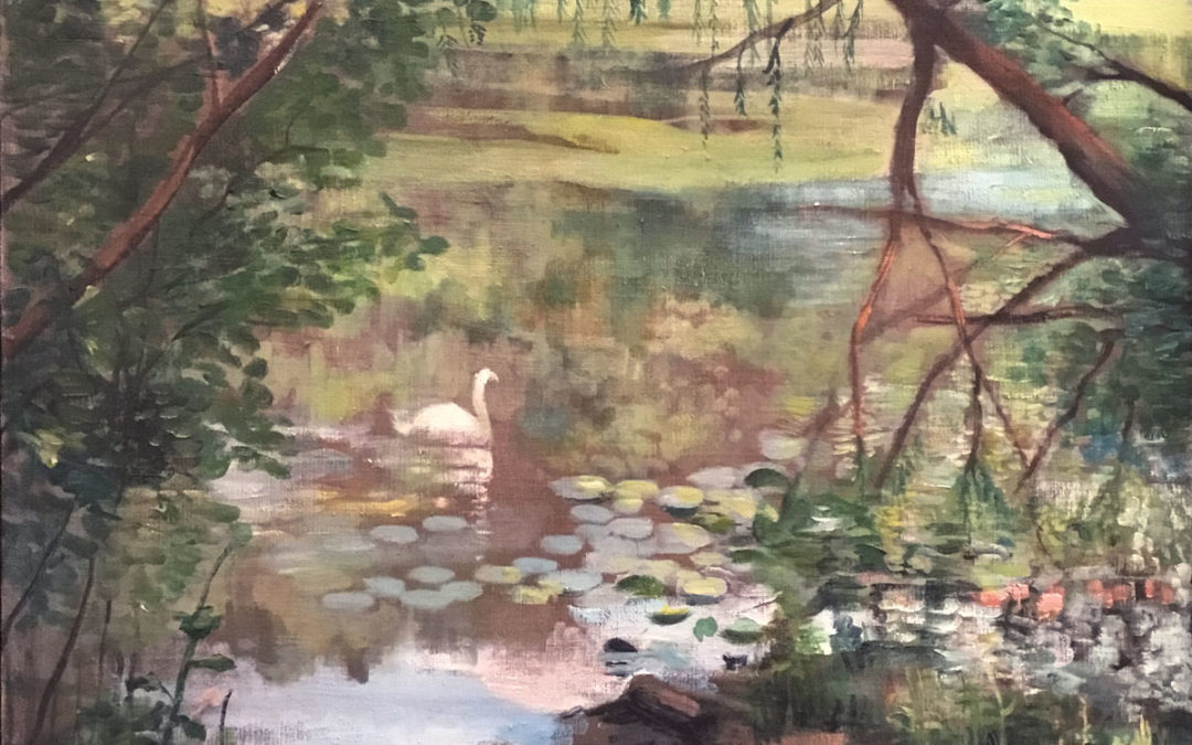 Oakland Lake, Summer
